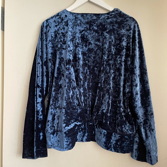 Zara Blue Velvet Sequin Bird Kimono Wrap Top - Picture 4 of 7
